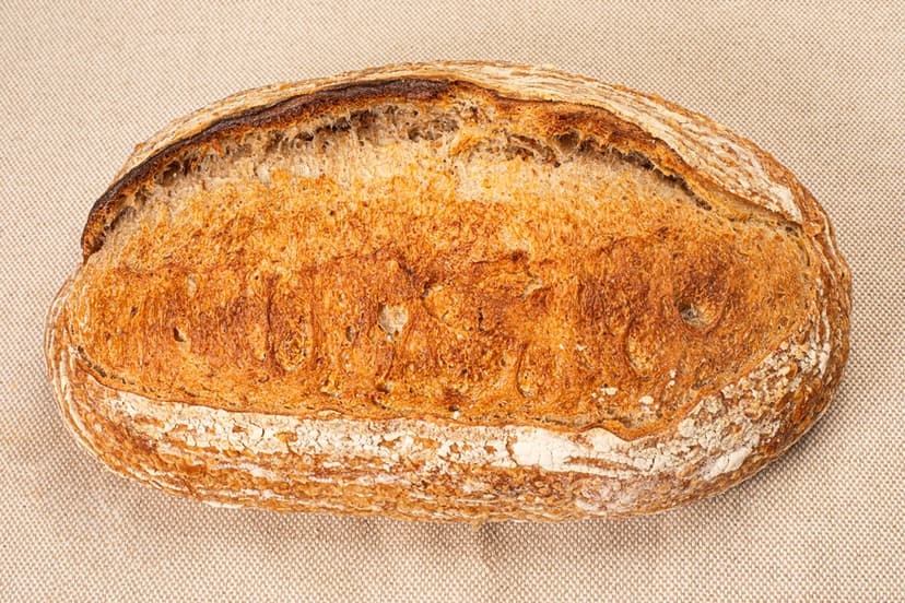 Sourdough Orgânico